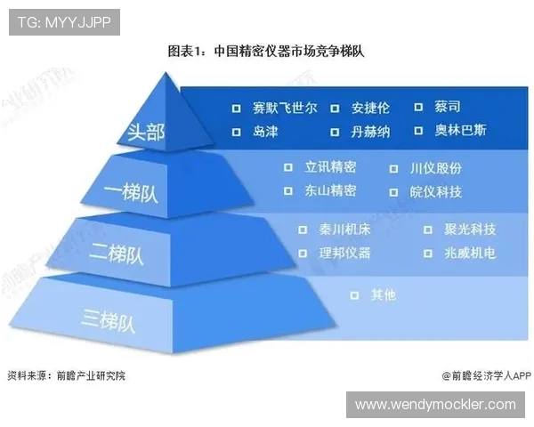 海德体育在体育行业中的市场份额与竞争优势深度分析