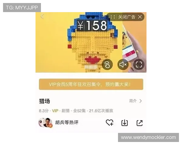 GOGO体育全站的广告投放策略与用户体验优化，提升平台整体竞争力